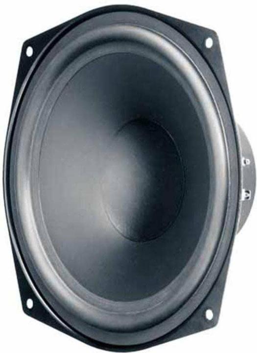 Visaton Haut-parleur de grave hi-fi WS 20 E, 8 ohms