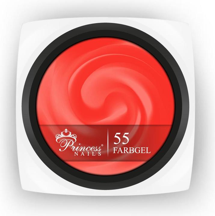 Actual product image PrincessNails Farbgel 55