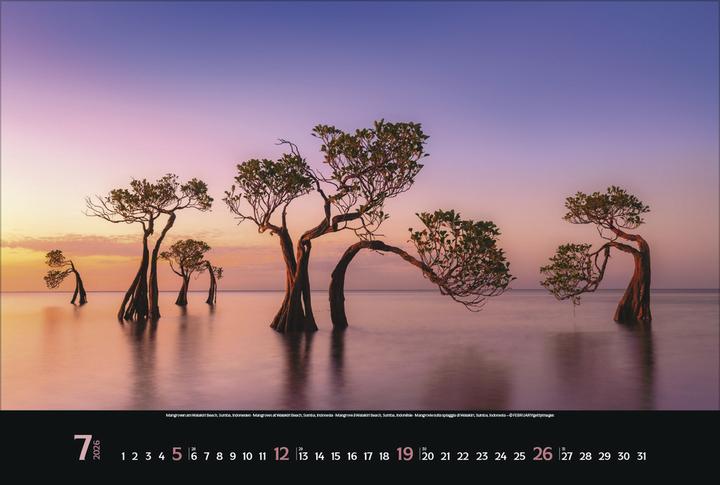 Produktbild Verlag Bildkalender Spirit of Earth 2026, Papierformat: Kein