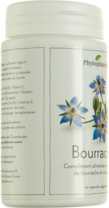 Produktbild Phytopharma Borretsch (1 Stück, Kapseln, 120 g)