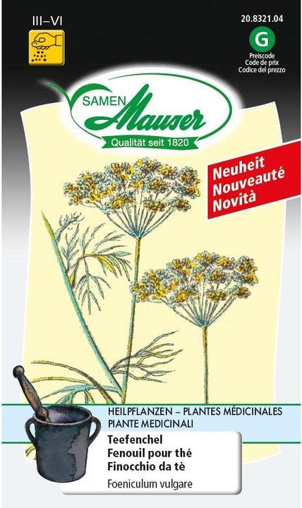 Samen Mauser Fenouil pour thé (Graines de plantes)