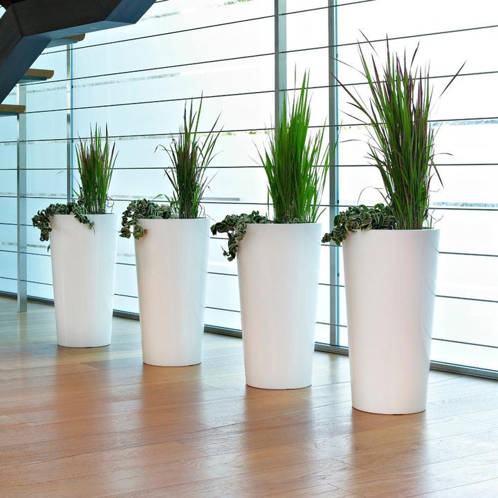 Actual product image Euro3plast Tuit (33 cm)