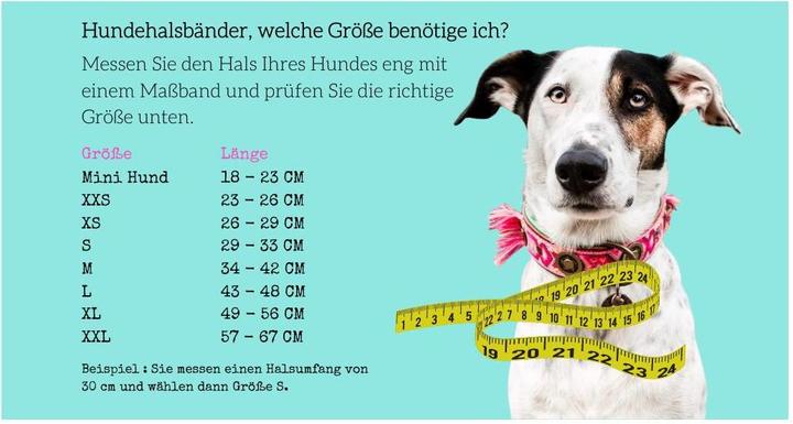 Produktbild Dog with a mission Hundehalsband Teddy (XXS, Hund, Allgemein)