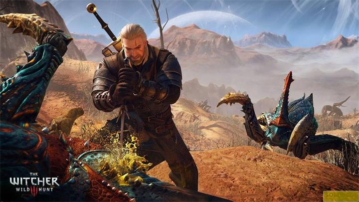 Image du produit Bandai Namco The Witcher 3: Wild Hunt - GOTY (PS4, Multilingue)