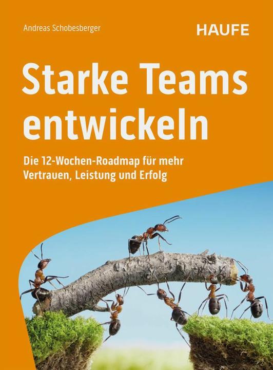 Actual product image Starke Teams entwickeln (German, Andreas Schobesberger, 2025)