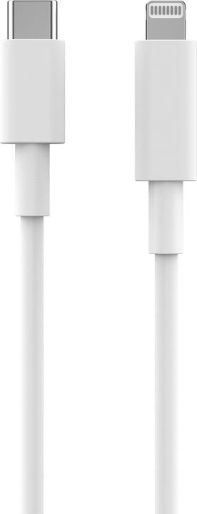 Actual product image 2GO 795848 USB Cable USB 3.2 Gen 1 (3.1 Gen 1) USB C Lightning (1 m, USB 3.2 Gen 1)