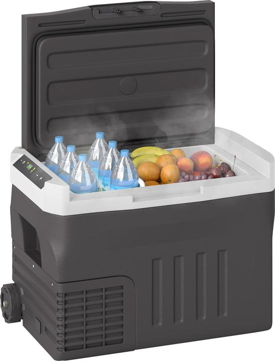 Outsunny Kühlbox Kunststoff Schwarz (30 l)