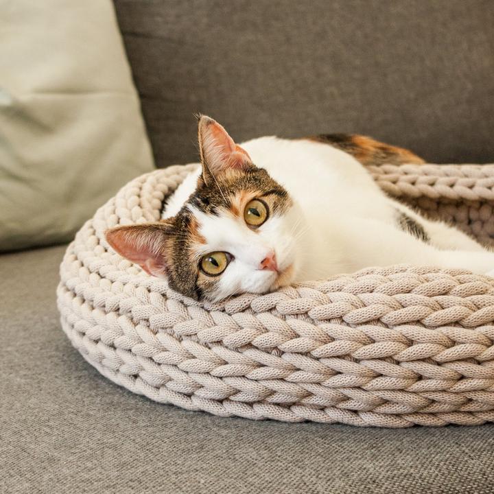 Immagine prodotto LucyBalu BASKET Katzenbett (Gatto)