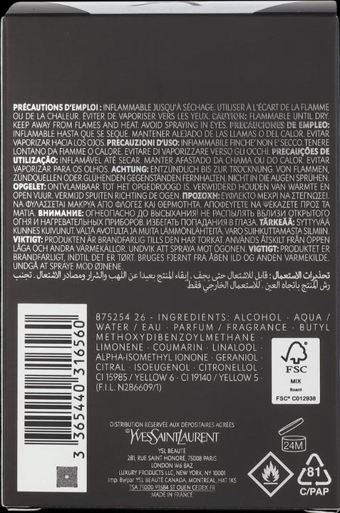 Immagine prodotto Yves Saint Laurent L'Homme (Eau de toilette, 100 ml)