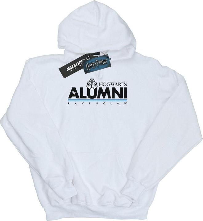 Image du produit - Sweat à capuche HOGWARTS ALUMNI RAVENCLAW - Homme (L)