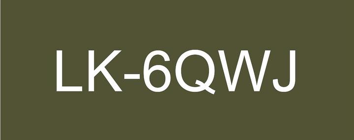 Produktbild Epson Matte Khaki/White 24mm LK-6QWJ (2.40 cm, Weiss, Braun)