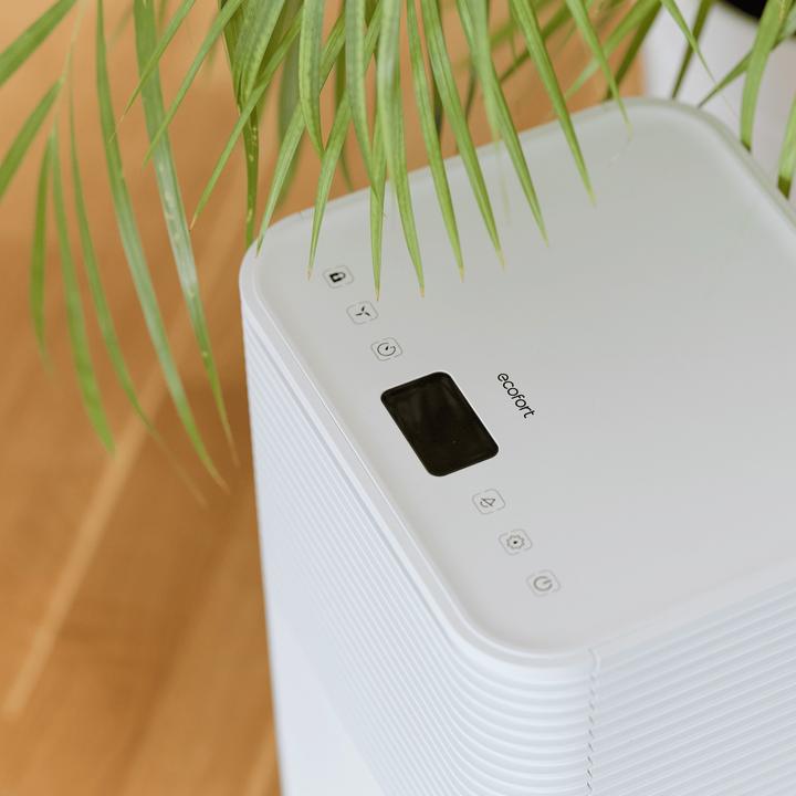 Image du produit ecofort ecoQ 12L Essential (30 m², 12 l/24h)
