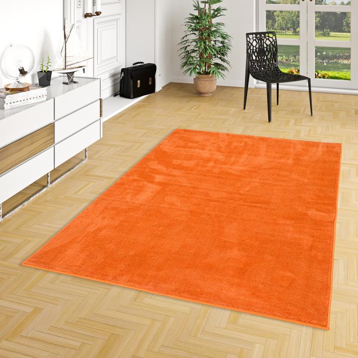 Produktbild Pergamon Luxus Super Soft Hochflor Langflor Teppich Melia (120 x 170 cm)