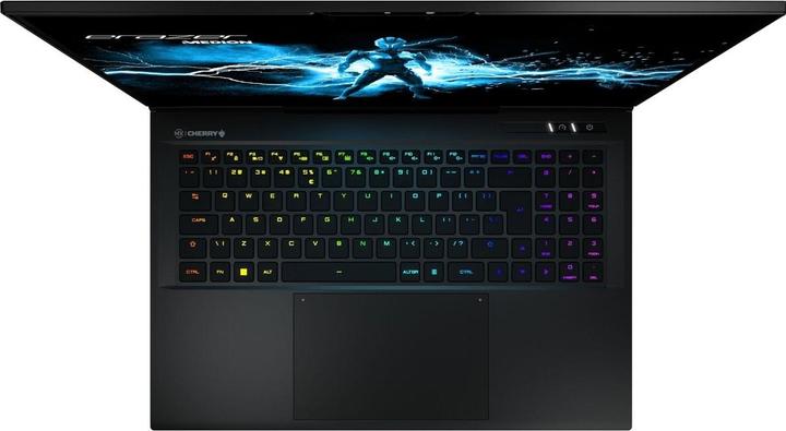 Produktbild Erazer Beast X40E 17" QHD i7-14700HX 16GB/1TB SSD RTX4070 Win11 MD62618 (17", Intel Core i7-14700HX, 16 GB, 1000 GB, DE)