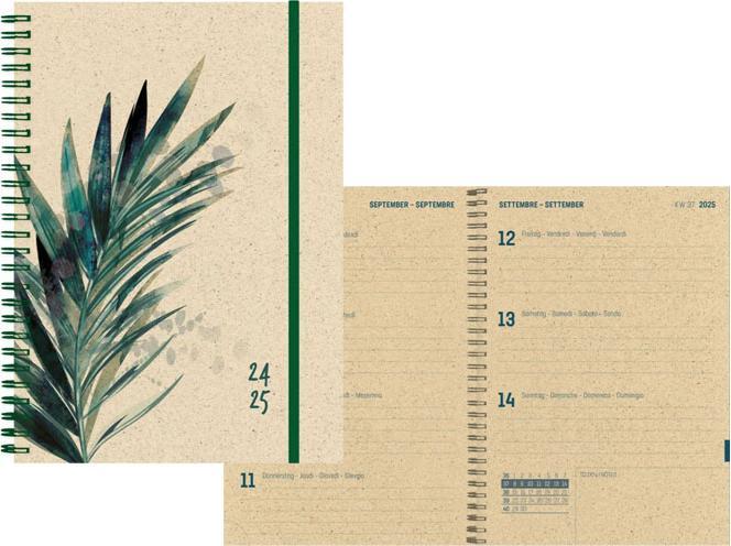 Image du produit Simplex Agenda des élèves Papier à herbe 24/25 500408.25 1W/2S 12M Palm ML 14.8x21cm (14.8 x 21 cm, Allemand)