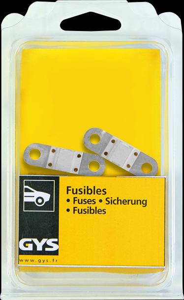 Actual product image GYS Fuses spec. M5, set of 2, 125A
