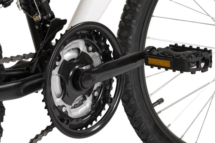 Actual product image Wyld Zodiac 24 (24")