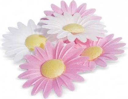 Actual product image ScrapCooking Daisies (18 x)