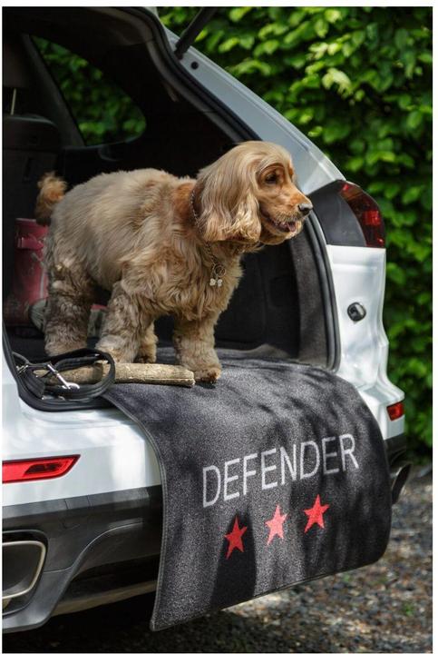 Produktbild Pet Rebellion Car Defender Carpet Protection - 100x155cm - (869165975190) (Hund)