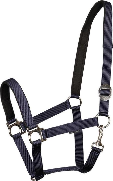 Image du produit Harry's Horse Licol pour cheval rembourré
