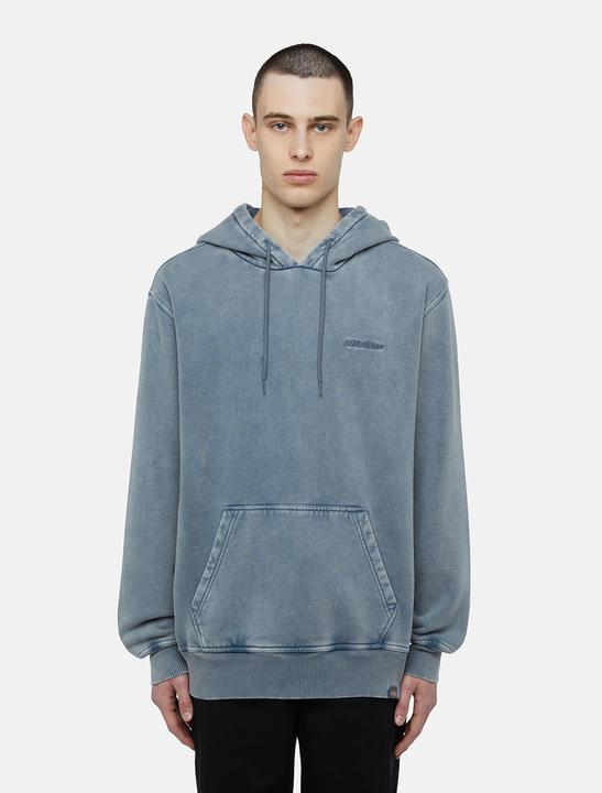 Image du produit Dickies Plentywood Hoodie Stormy Weather (L)
