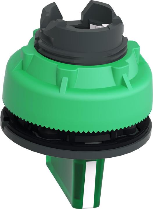 Immagine prodotto Schneider Electric Verde A Filo Ill Selettore 3p Ritorno C