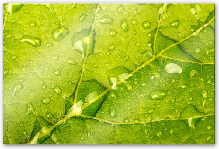 Produktbild Trenddeko Wasserperlen (150 x 100 cm)