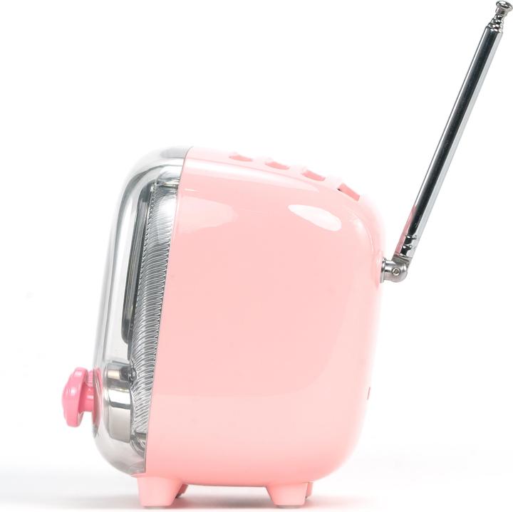 Immagine prodotto Divoom Tiivoo-2 pink