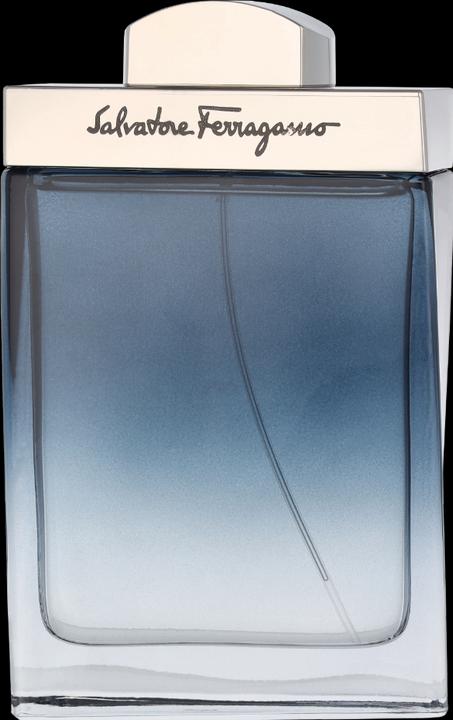 Actual product image Salvatore Ferragamo Subtle (Eau de toilette, 100 ml)