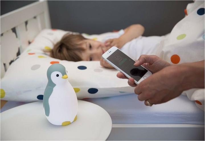 Actual product image ZaZu Sleep aid Pam