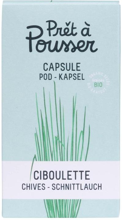 Produktbild Prêt à Pousser Schnittlauch (Kräutersamen)