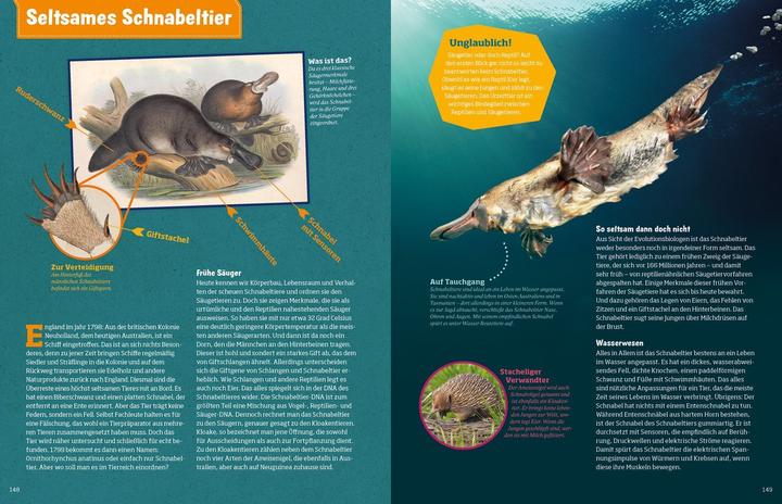 Produktbild Tessloff WAS IST WAS Abenteuer Evolution. Das Wunder des Lebens (Deutsch, Manfred Baur, 2020)