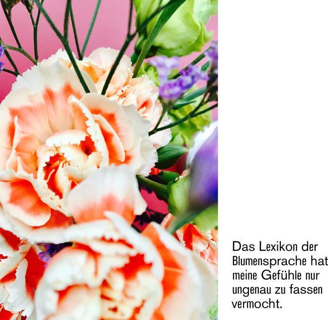 Produktbild Blumen sind geil (Deutsch, Tine Melzer, Markus Kummer, 2020)