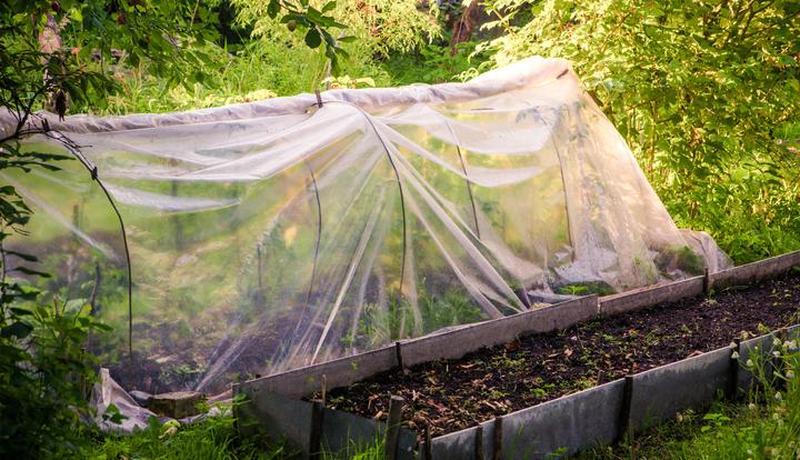 Immagine prodotto Aquagart 18m Gartenfolie Gewächshausfolie UV 5 Frühbeetfolie Treibhausfolie 4m breit