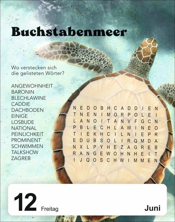 Actual product image Harenberg 5 minutes to kill Tagesabreisskalender 2026 - Der Rätselkalender gegen die langweiligsten Minuten (11 x 14 cm, German)