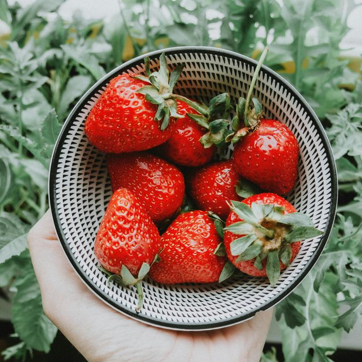 Actual product image Plant in a Box Fragaria Elsanta - (10 cm)
