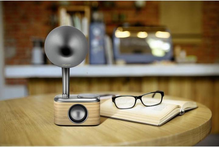 Actual product image Sangean CP 100D (DAB+, DAB, FM, Bluetooth)