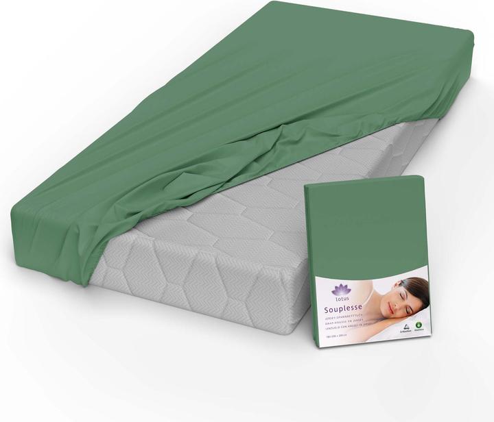 Produktbild Lotus Bettwaren Jersey Fixleintuch Souplesse (200 x 220 cm)
