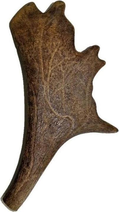 Image du produit Kyli Bois de cerf Daim (Adulte, 1 pcs, 200 g)
