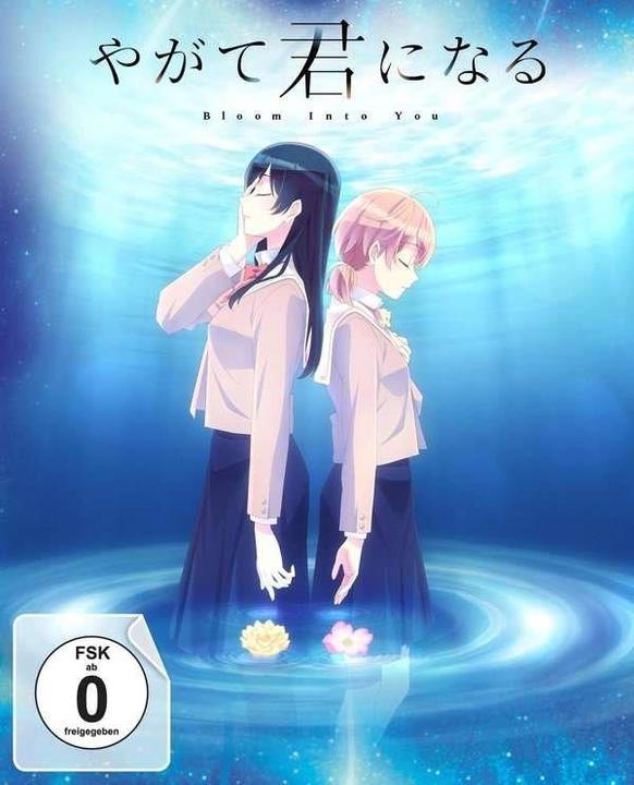 Bloom Into You - Volume 3 (Episode 9-13) im Sammelschuber (DVD) (DVD, Japanisch, Deutsch)