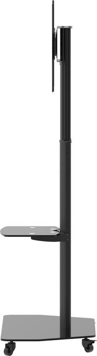 Produktbild Celexon Rollwagen Adjust-3770MP (70", 50 kg)