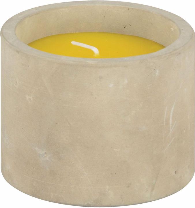 Image du produit Esschert Design Bougie de jardin Citronnelle en pot de béton (1 pcs)