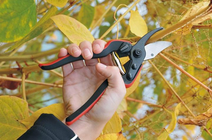 Produktbild Felco Baumscheren