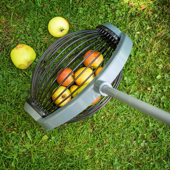 Actual product image UPP Roll collector/ fruit collector large with ALU telescopic handle