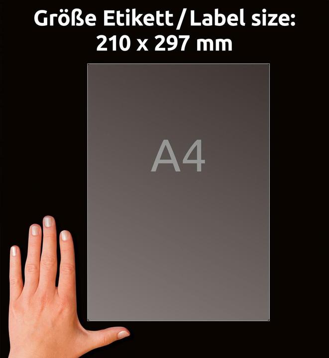 Produktbild Avery Universaletiketten J8567-25 Transparent 210 mm x 297 mm