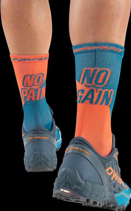 Actual product image Dynafit No Pain No Gain Socks Unisex (39 - 42)