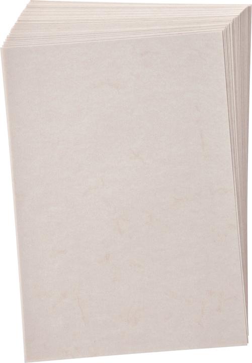 Image du produit Folia Papier peau d'éléphant (110 g/m², 1 x)