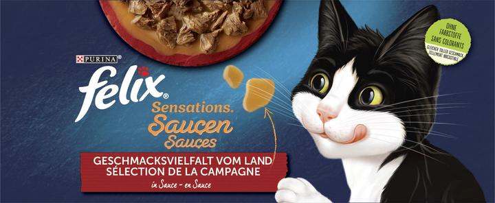 Immagine prodotto Felix Salse Sensation (Adulto, 1 pz., 1160 g)