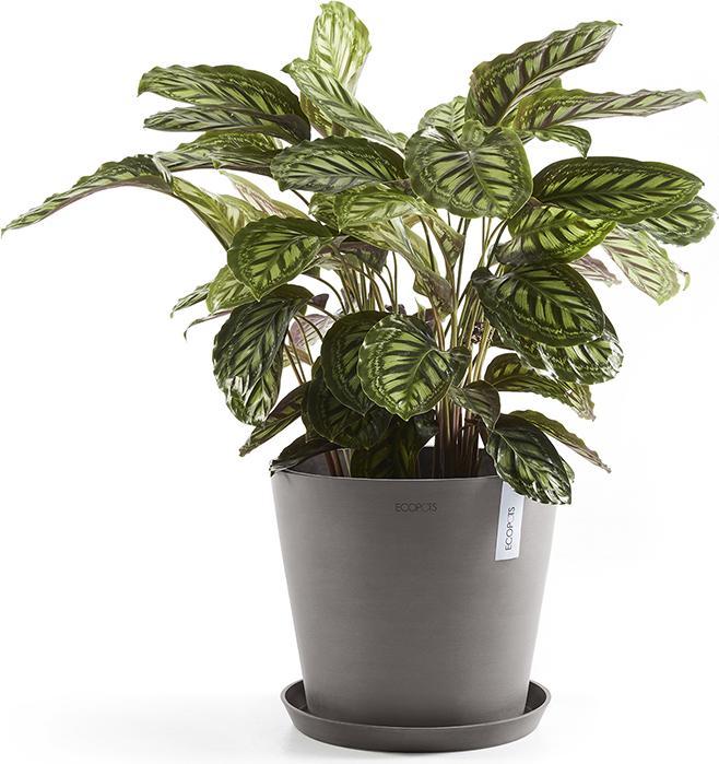 Image du produit Ecopots Saucer Round