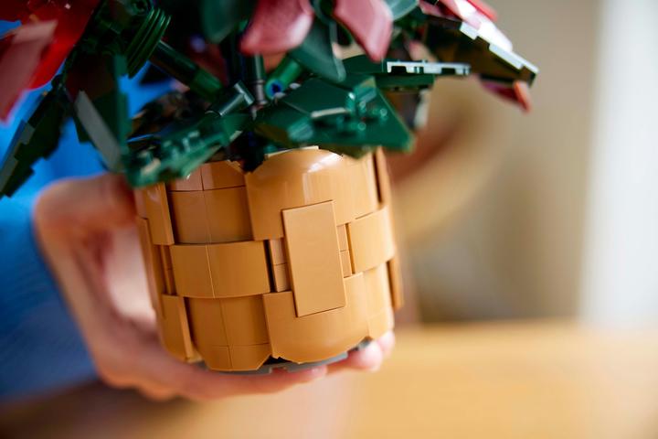 Actual product image LEGO Poinsettia (10370, LEGO Icons)